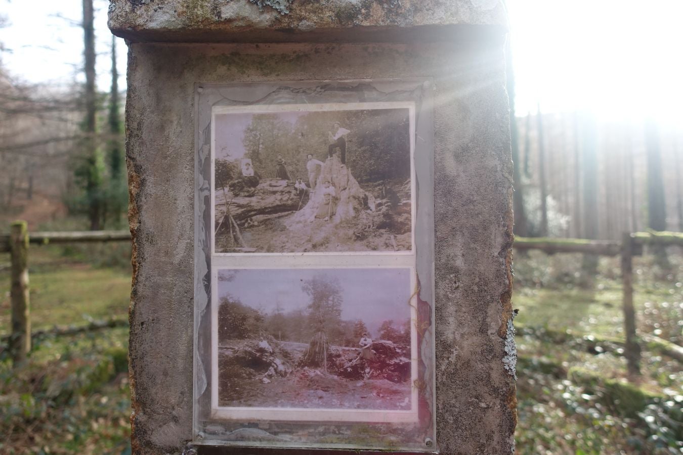 Fotos: Petriketa, entre molinos y gigantes