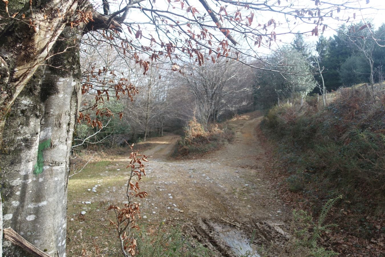 Fotos: Petriketa, entre molinos y gigantes