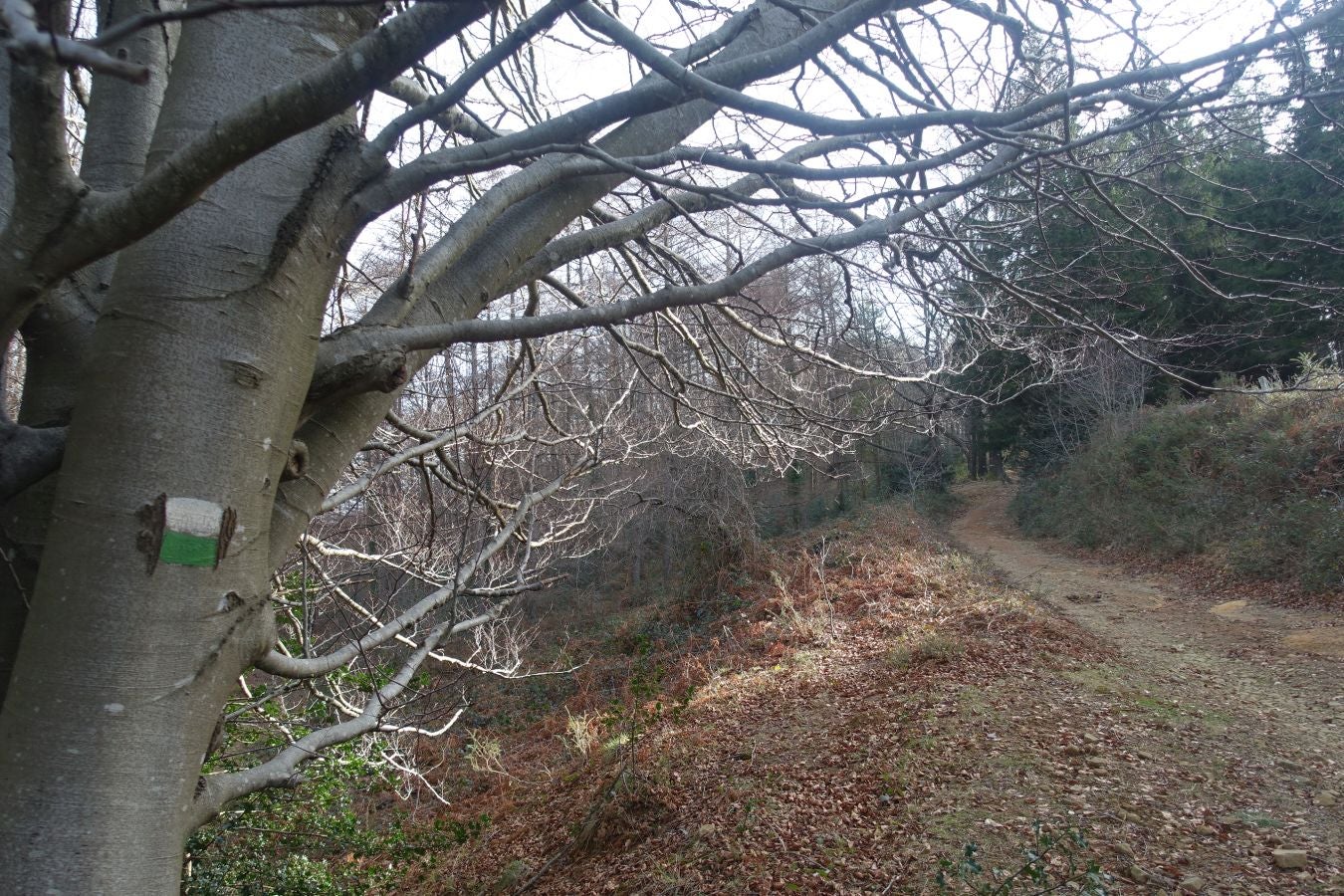 Fotos: Petriketa, entre molinos y gigantes