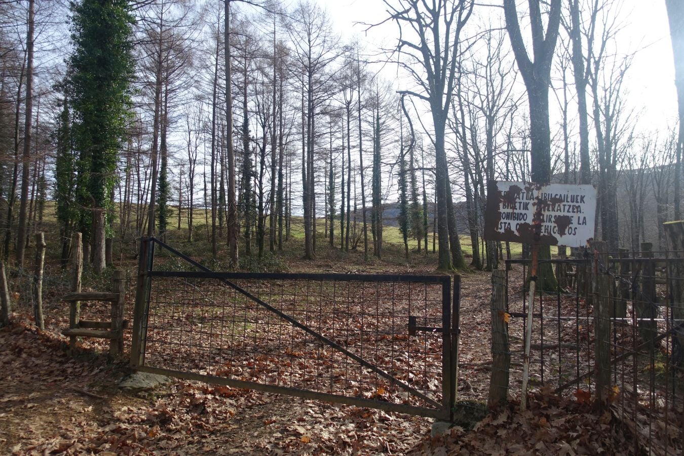 Fotos: Petriketa, entre molinos y gigantes