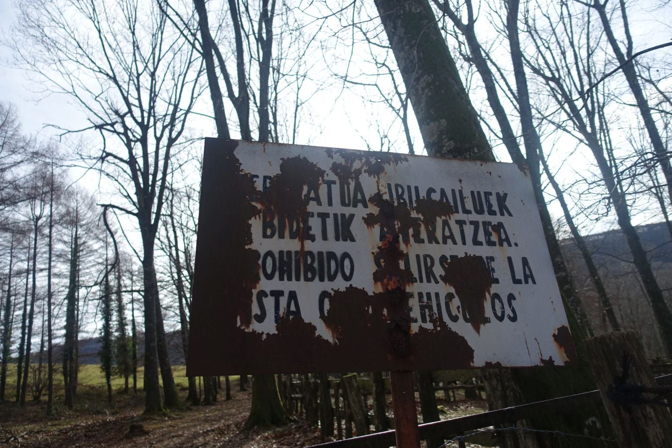 Fotos: Petriketa, entre molinos y gigantes