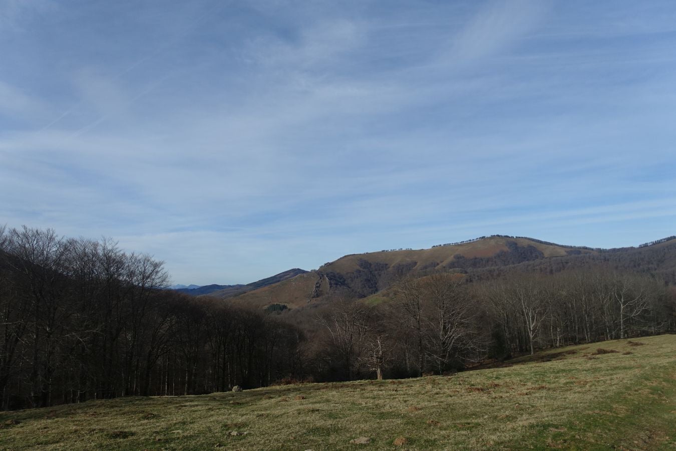 Fotos: Petriketa, entre molinos y gigantes