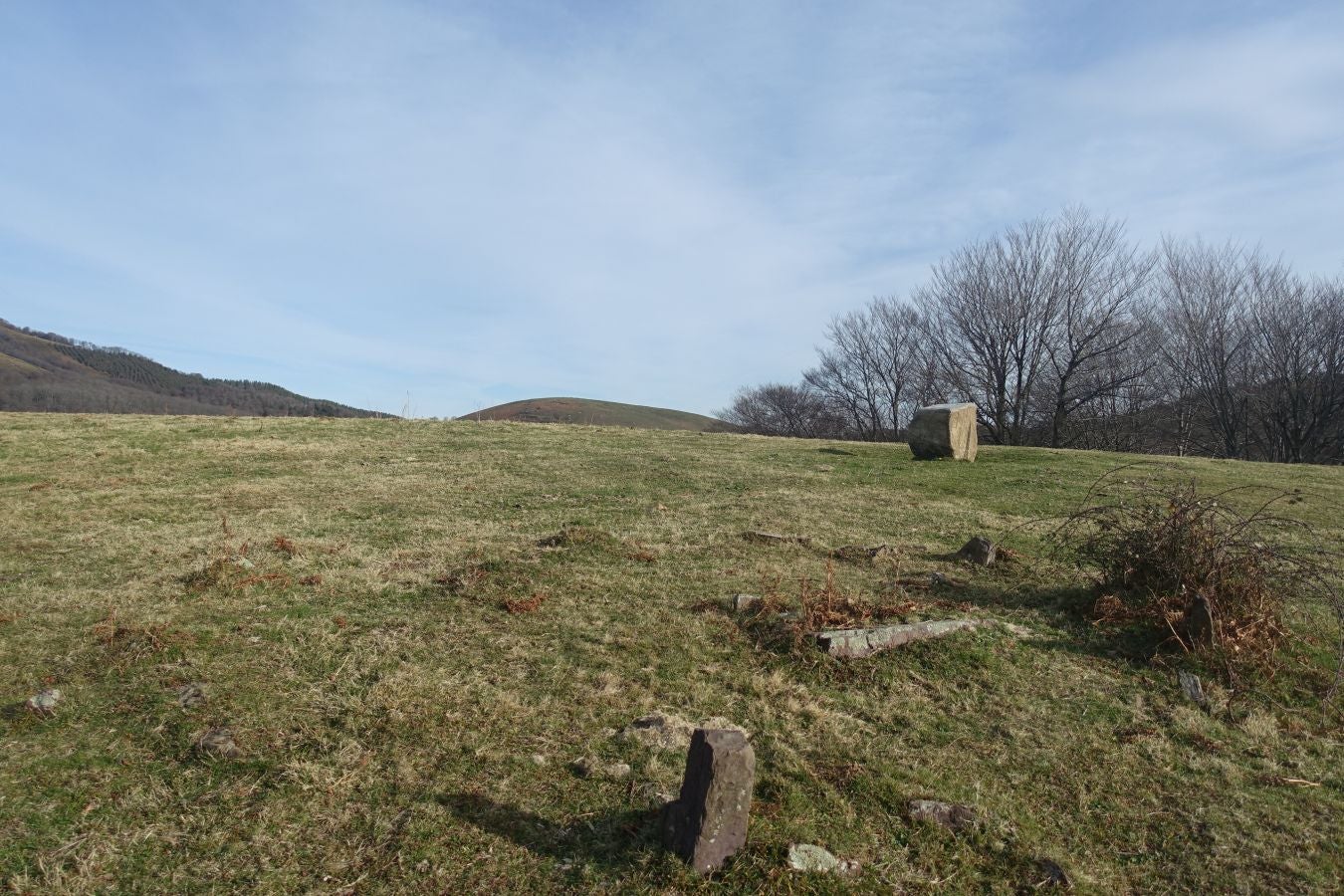 Fotos: Petriketa, entre molinos y gigantes