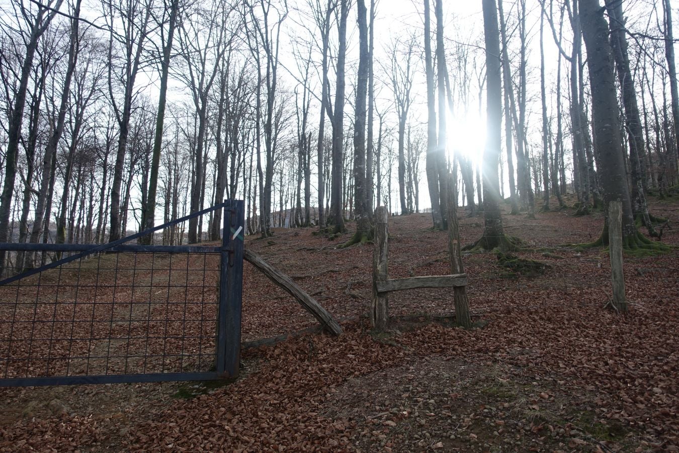 Fotos: Petriketa, entre molinos y gigantes