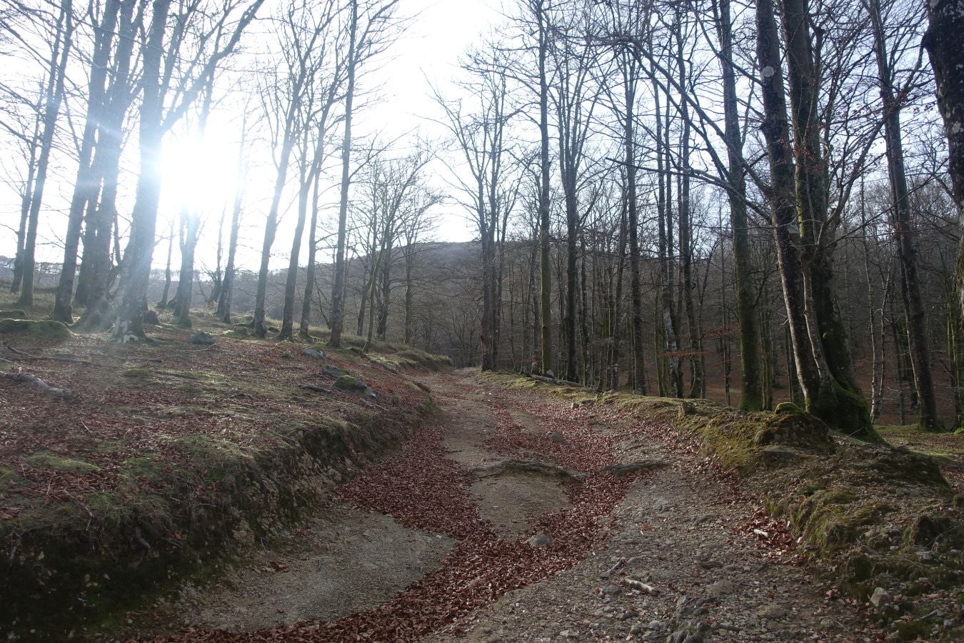 Fotos: Petriketa, entre molinos y gigantes