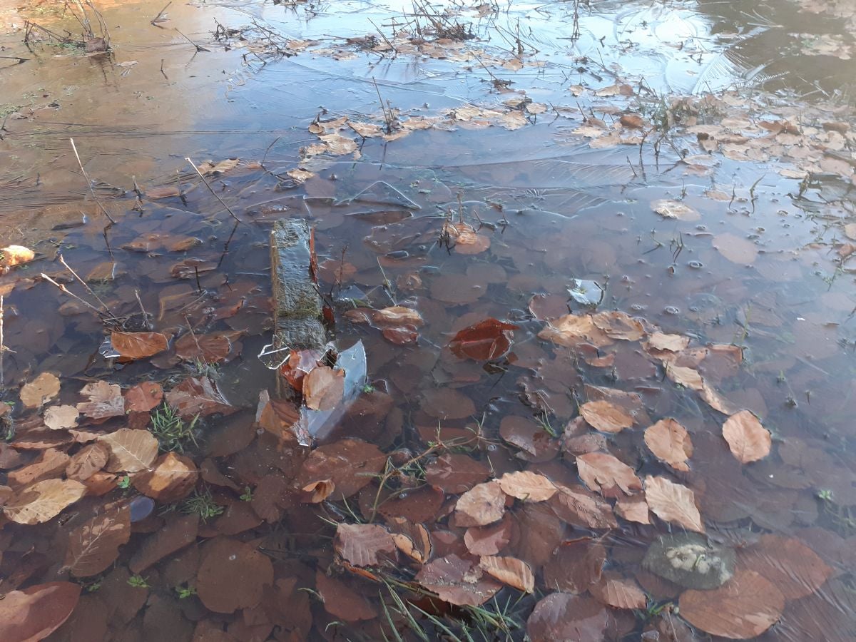 Fotos: Petriketa, entre molinos y gigantes