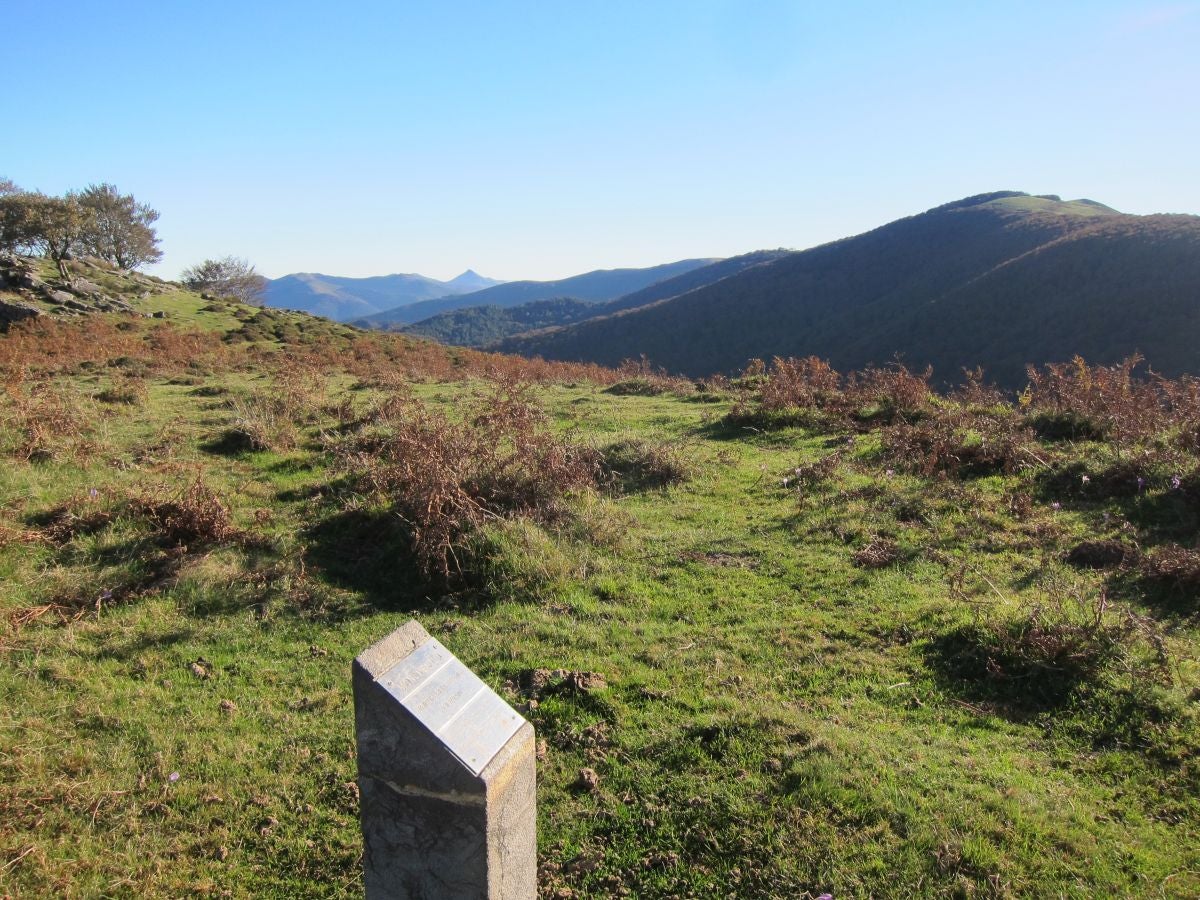Fotos: Petriketa, entre molinos y gigantes