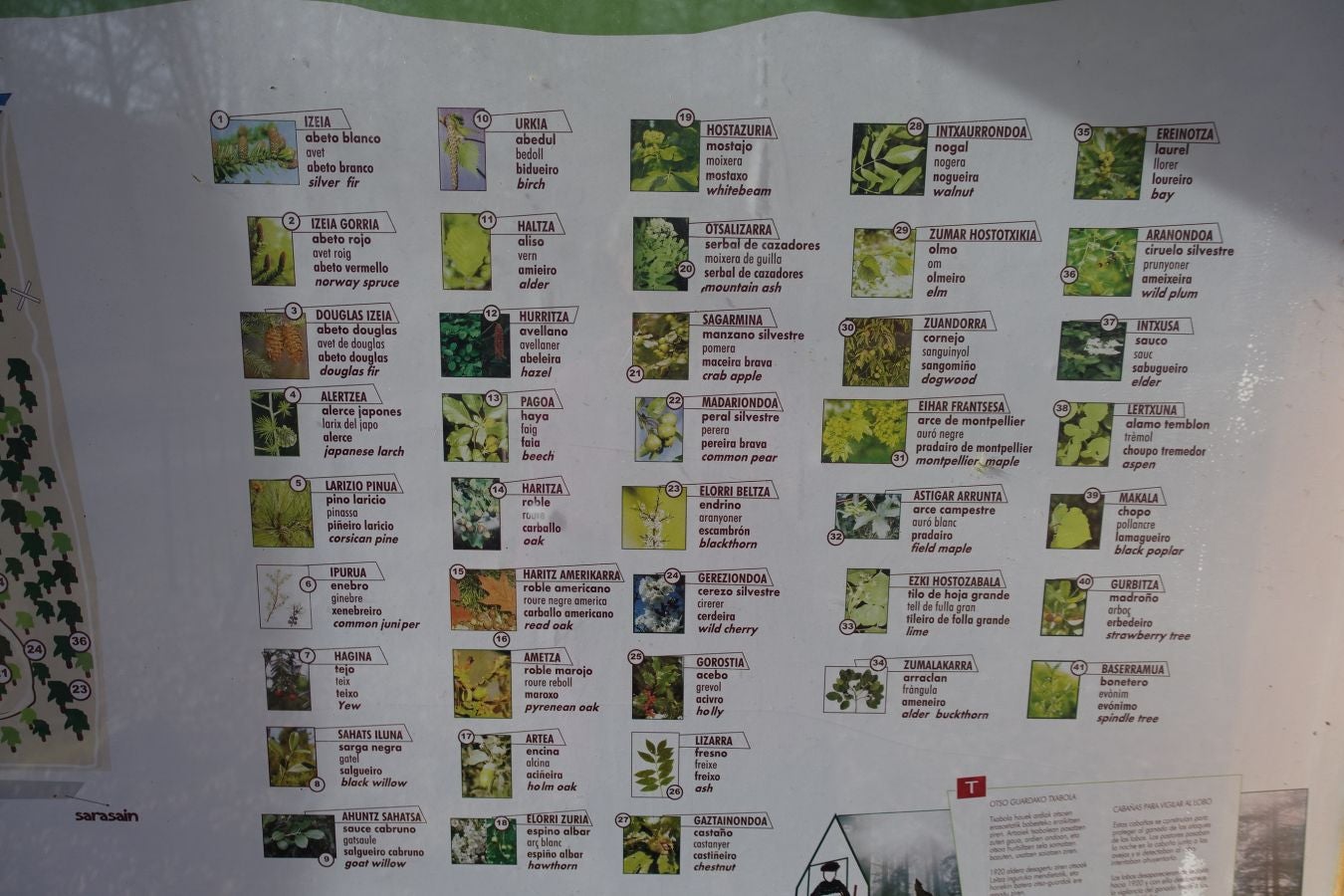 Fotos: Petriketa, entre molinos y gigantes