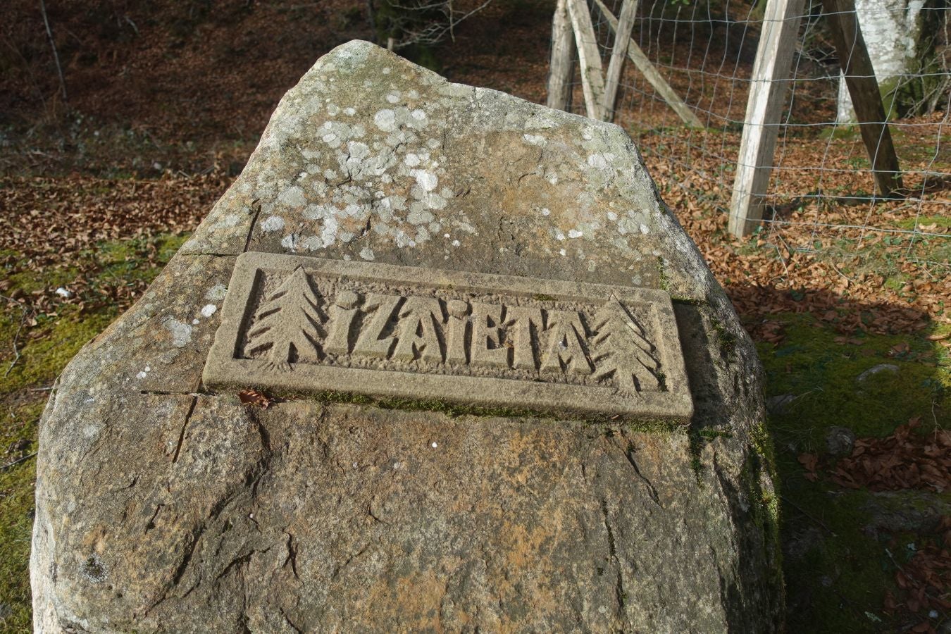 Fotos: Petriketa, entre molinos y gigantes