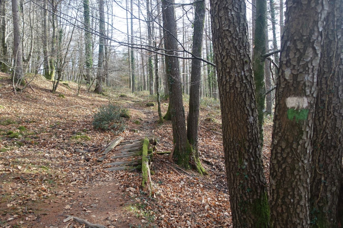 Fotos: Petriketa, entre molinos y gigantes