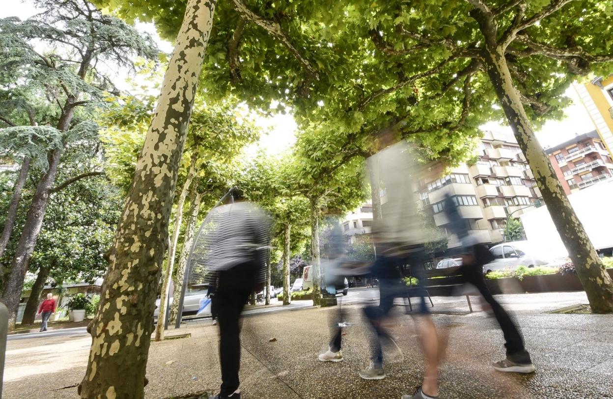 El programa se ha completado con la colaboración y participación de la ciudadanía, y conjuntamente entre departamentos del Ayuntamiento. 