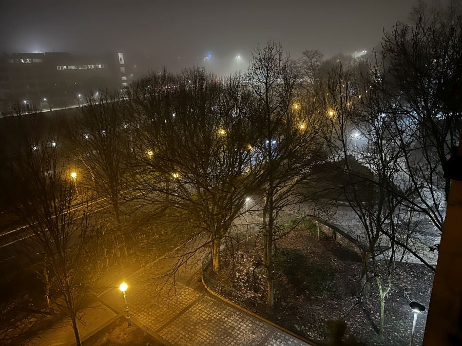 Fotos: Amanecer bajo la niebla