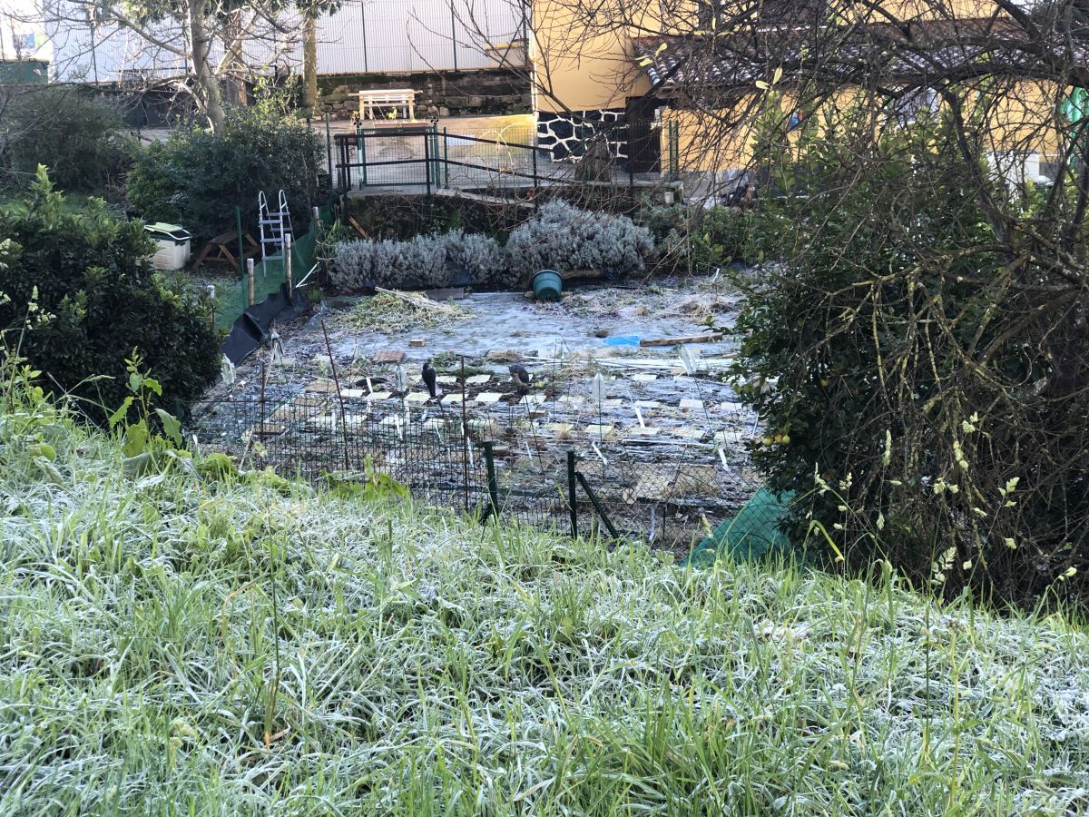 Municipios como Oñati, Arrasate, Aretxabaleta o Elgoibar han registrado esta madrugada temperaturas bajo cero