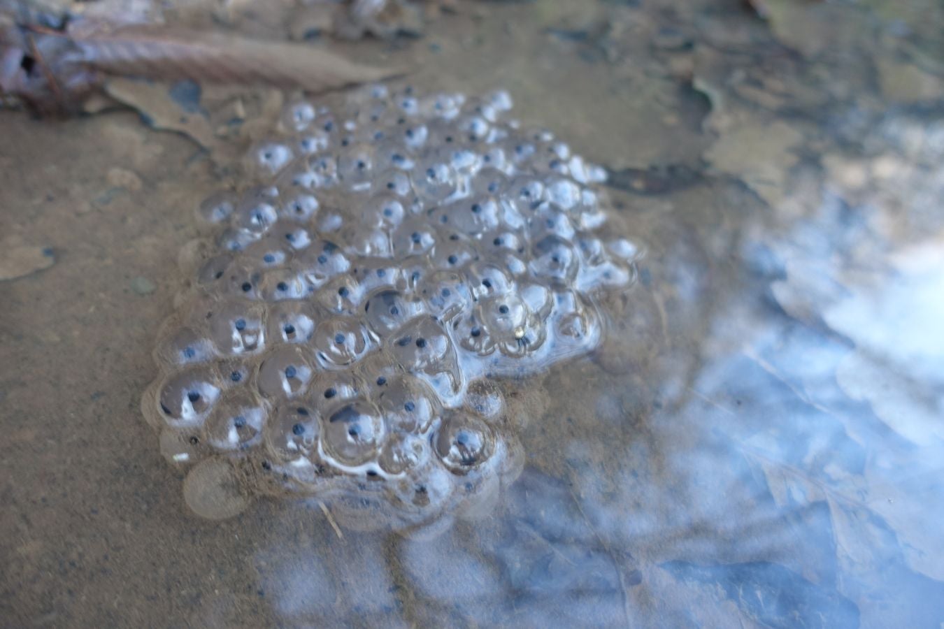 Fotos: Oindolar, señor del reino del agua
