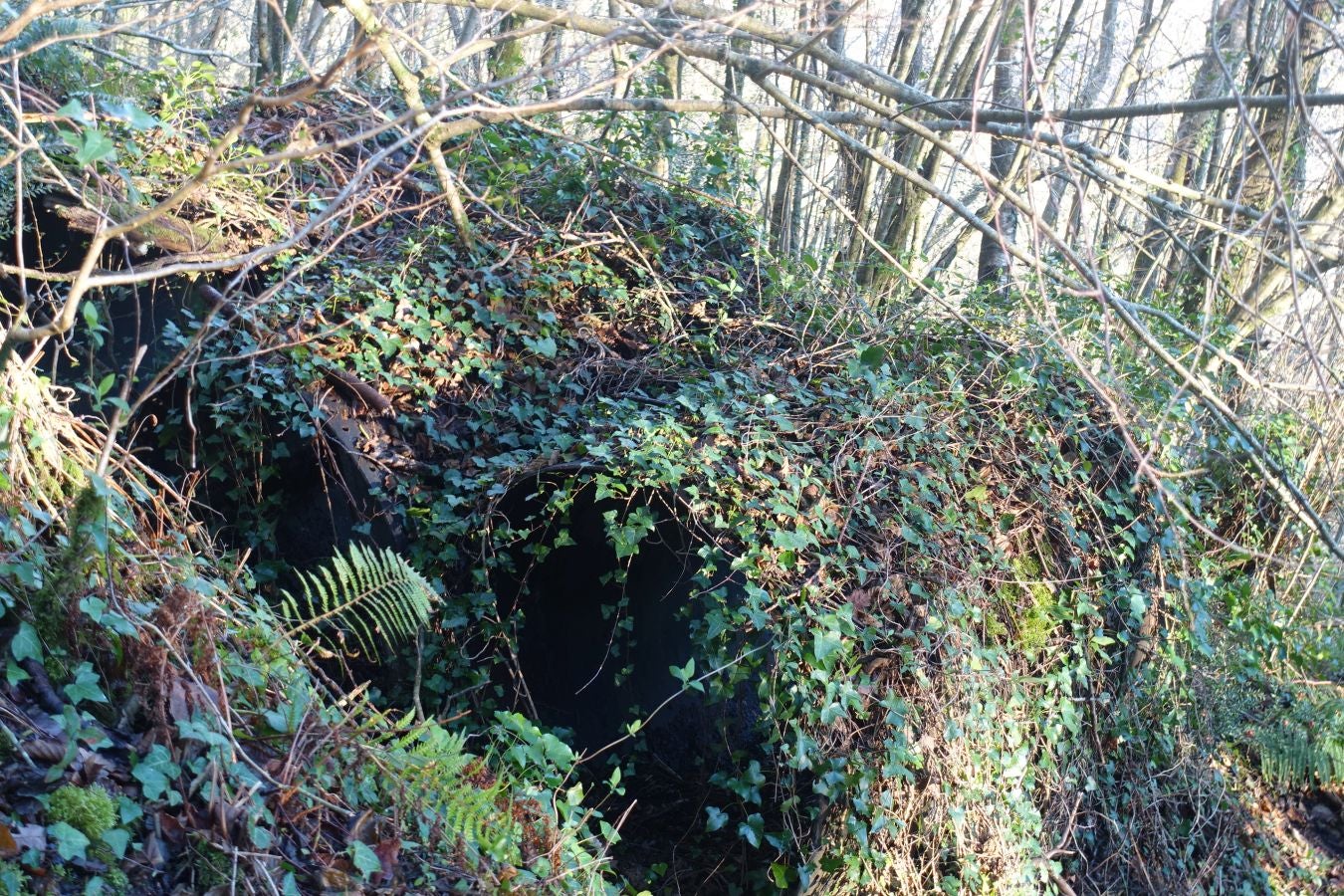 Fotos: Oindolar, señor del reino del agua