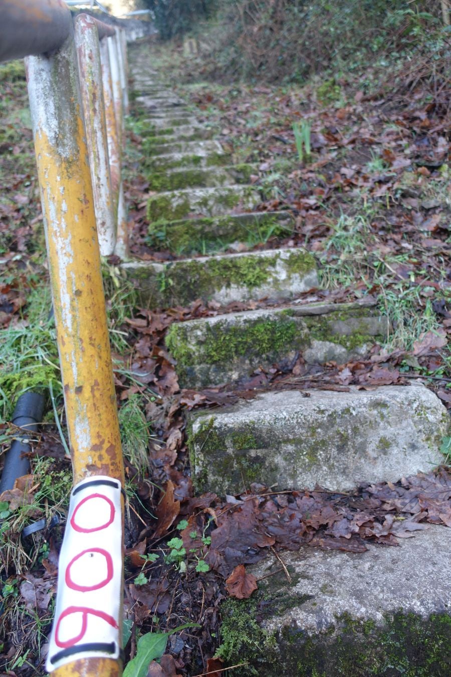 Fotos: Oindolar, señor del reino del agua