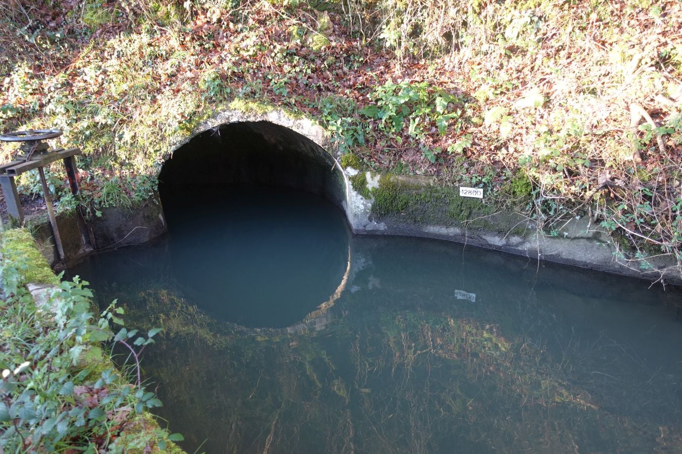 Fotos: Oindolar, señor del reino del agua