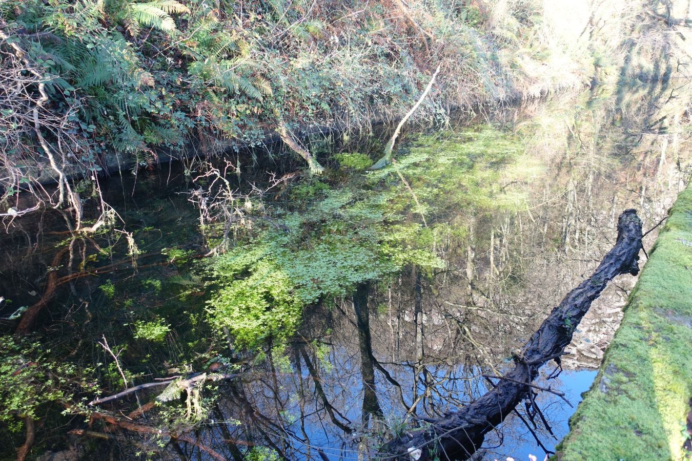 Fotos: Oindolar, señor del reino del agua