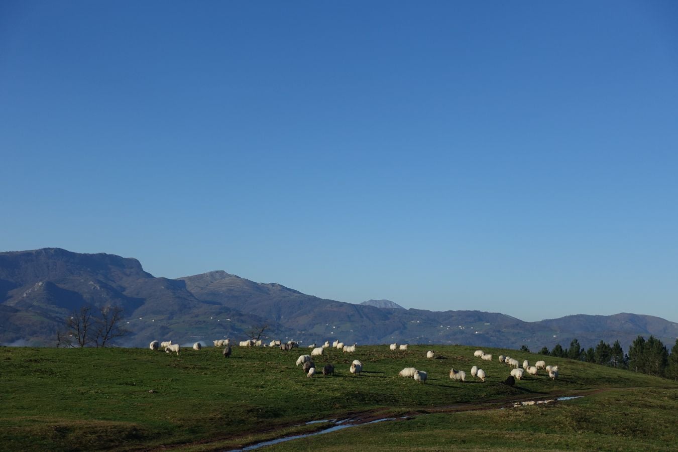 Fotos: Oindolar, señor del reino del agua