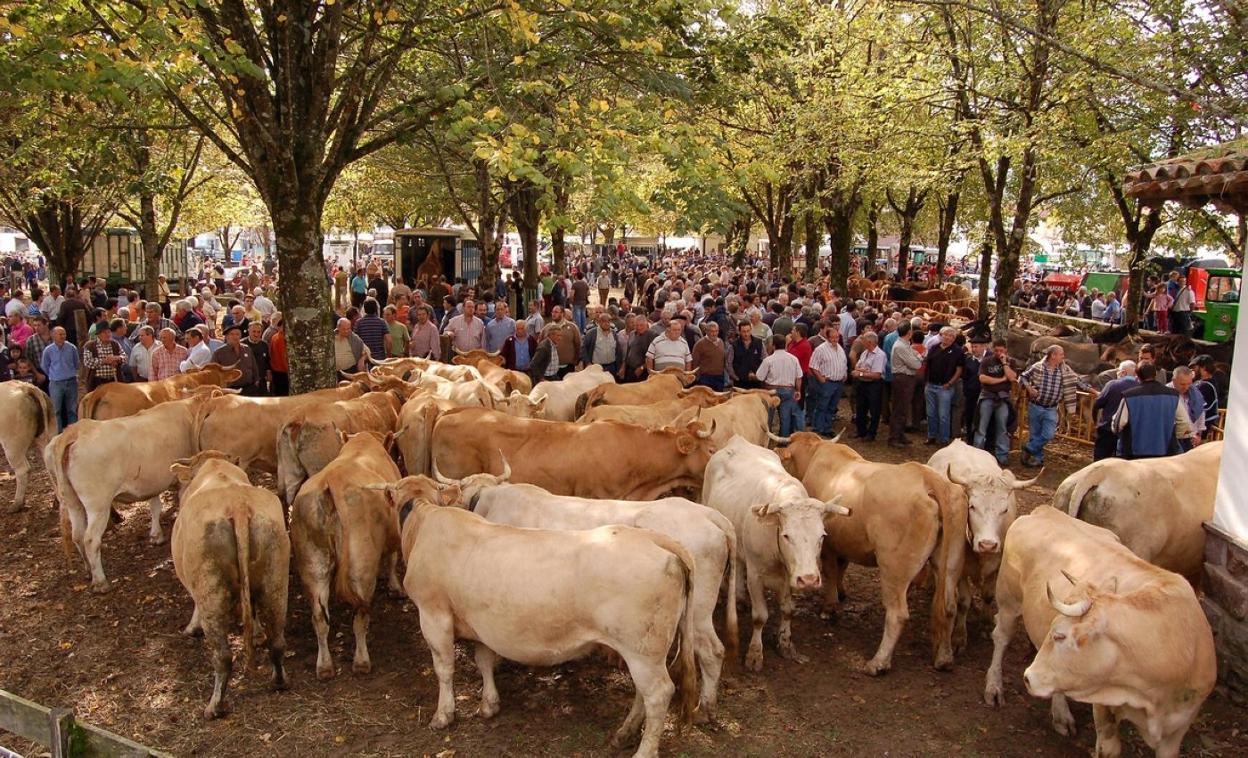 Ayudas para la instalación de jóvenes agricultores en Navarra El Ayudas para la instalación de jóvenes agricultores en Navarra El
