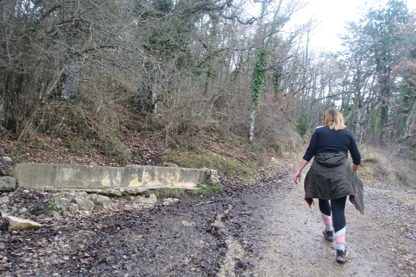 Fotos: Erga, con vistas a los Pirineos