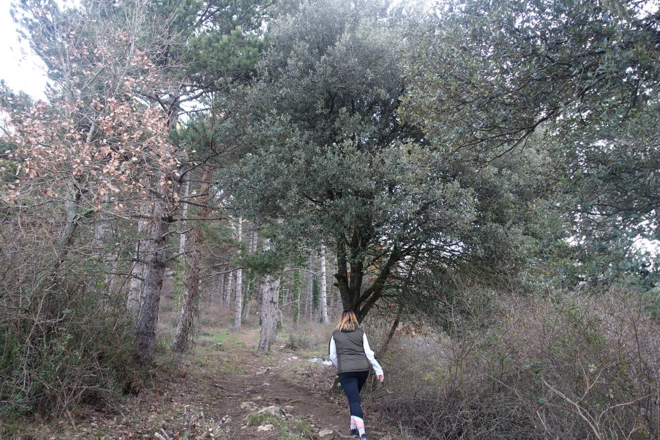 Fotos: Erga, con vistas a los Pirineos