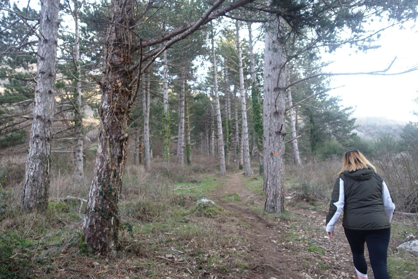 Fotos: Erga, con vistas a los Pirineos