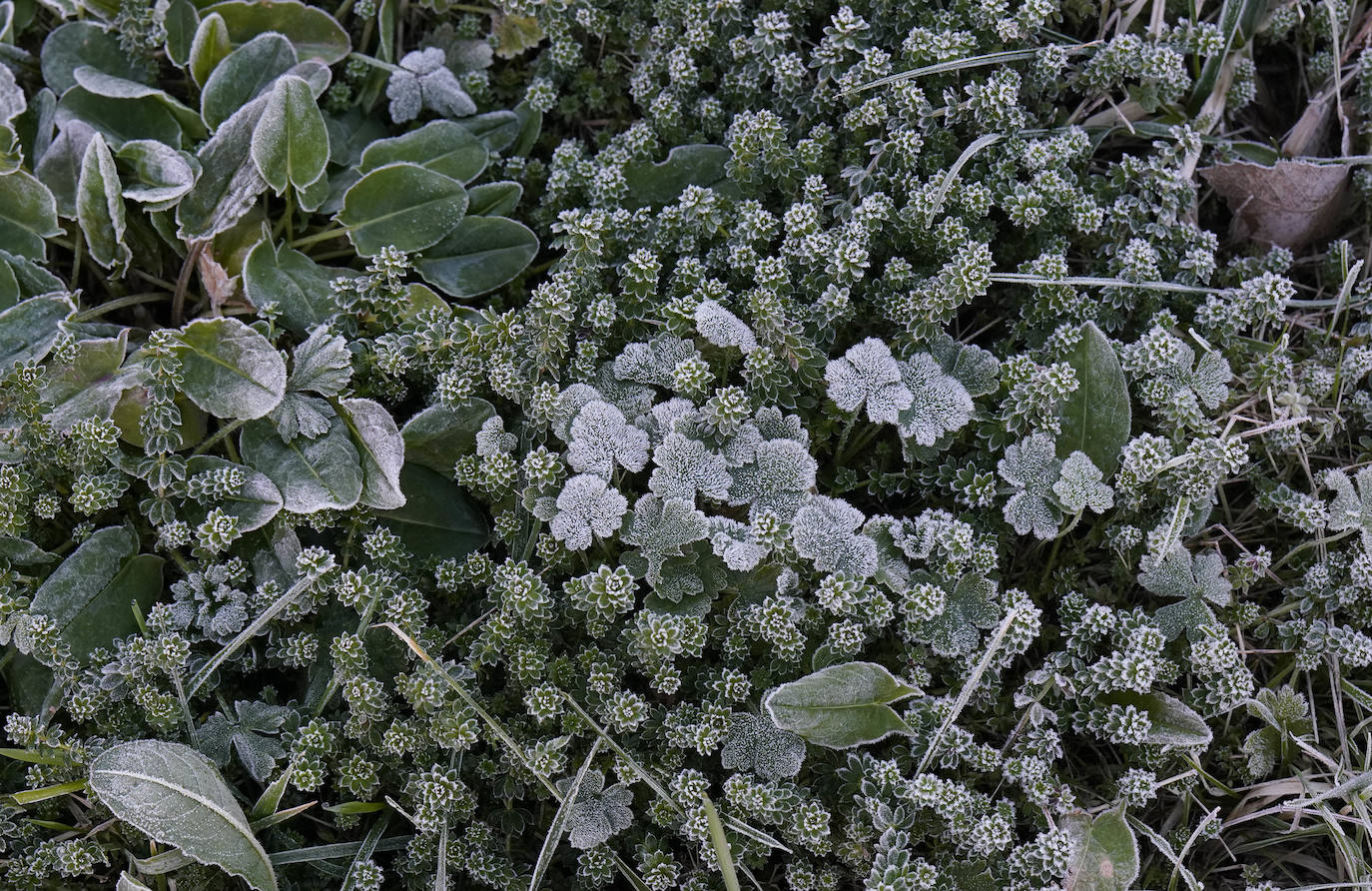 Fotos: Gipuzkoa se congela con temperaturas bajo cero