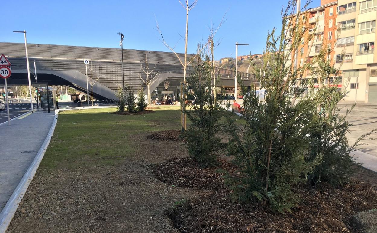 Las nuevas zonas verdes creadas en la travesía ya cuentan con césped y árboles plantados. 