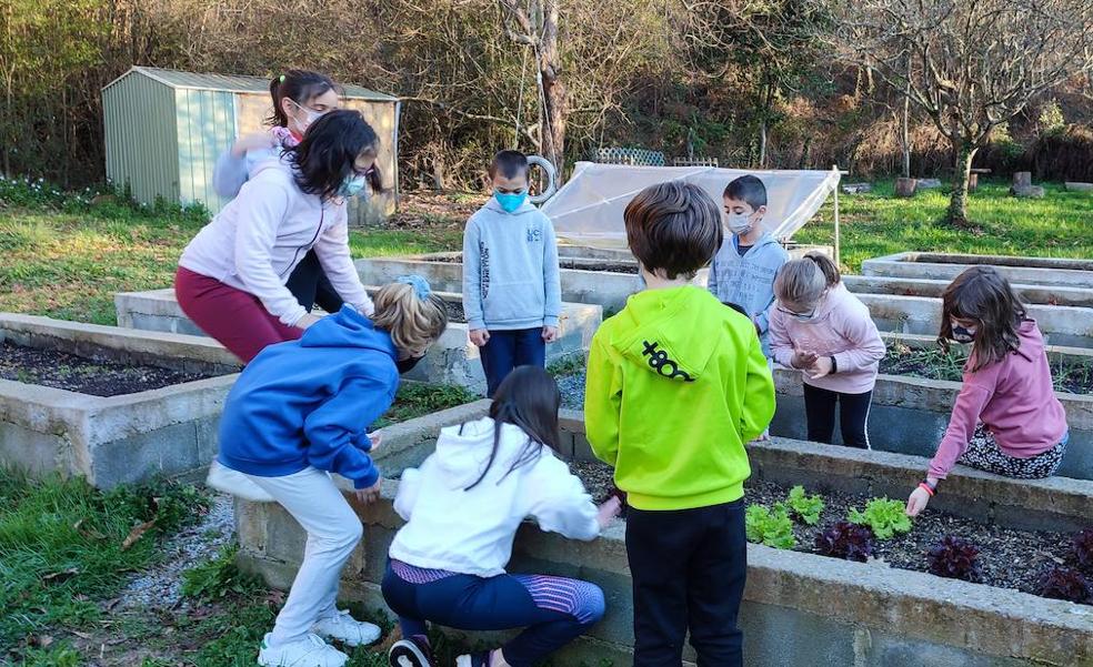 «Gure inguruko animalientzako oparia da»