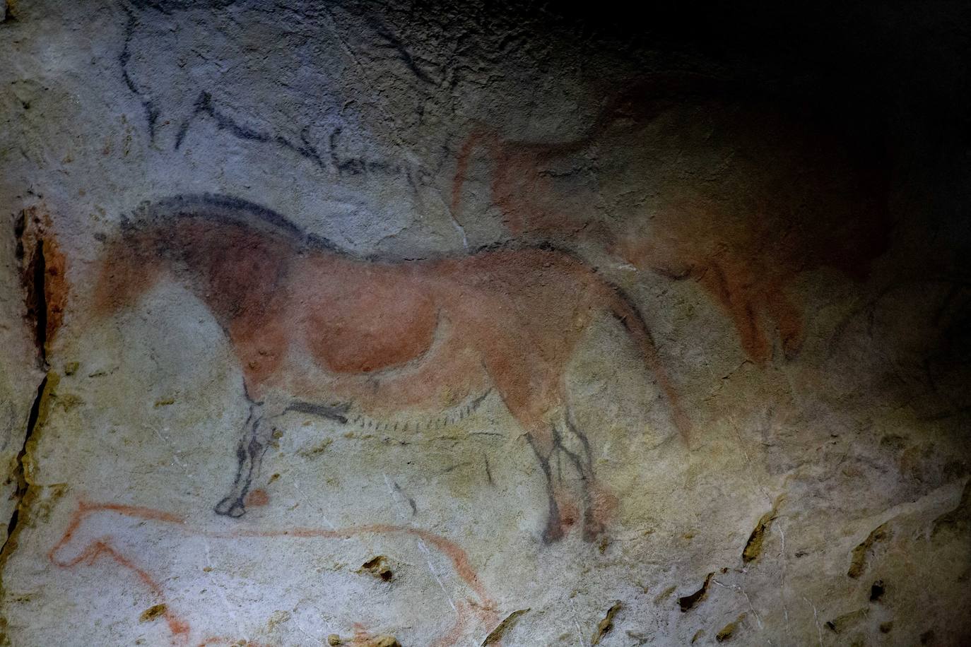 Fotos: Los caballos esperan en Ekainberri