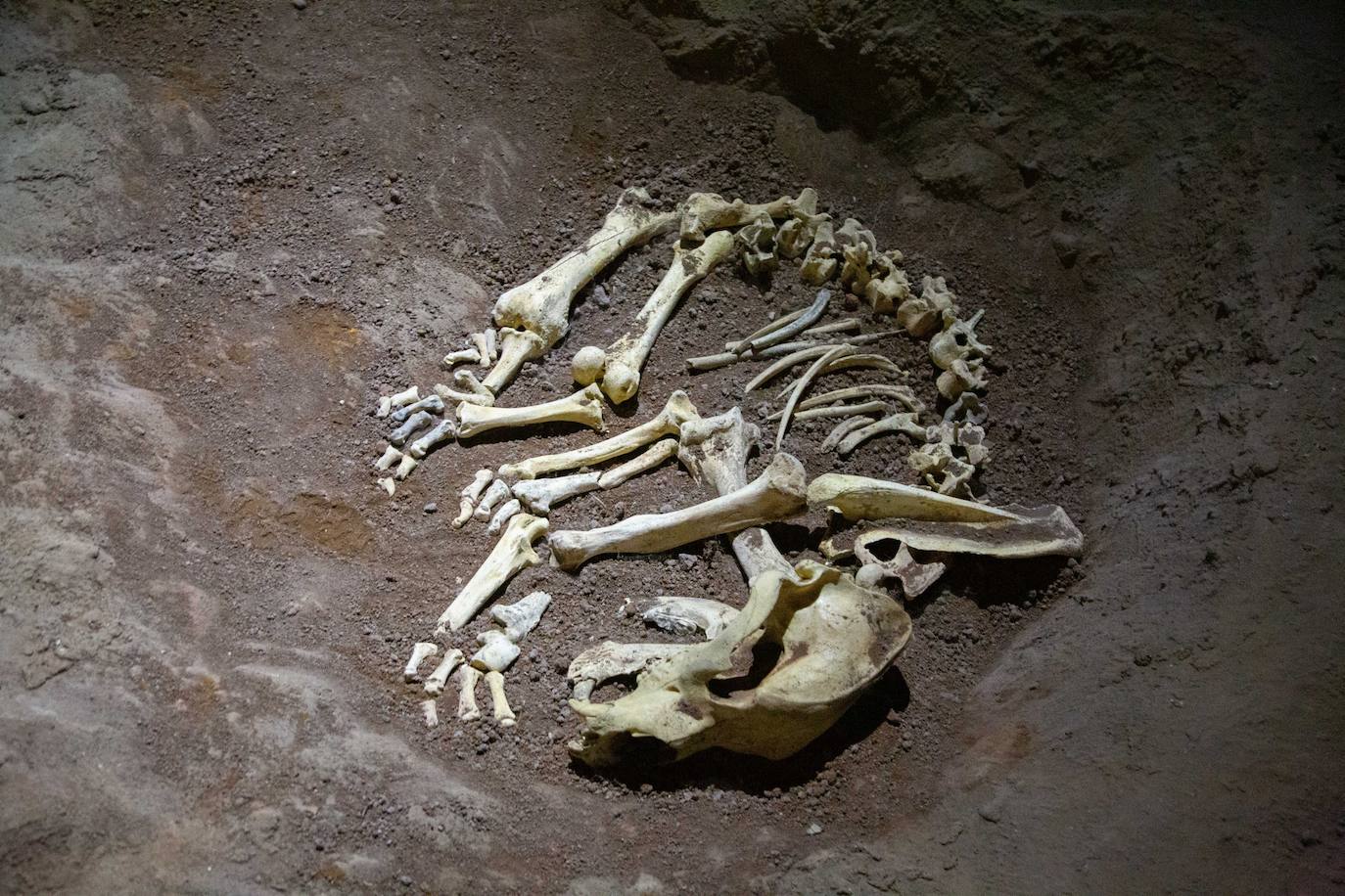 Fotos: Los caballos esperan en Ekainberri