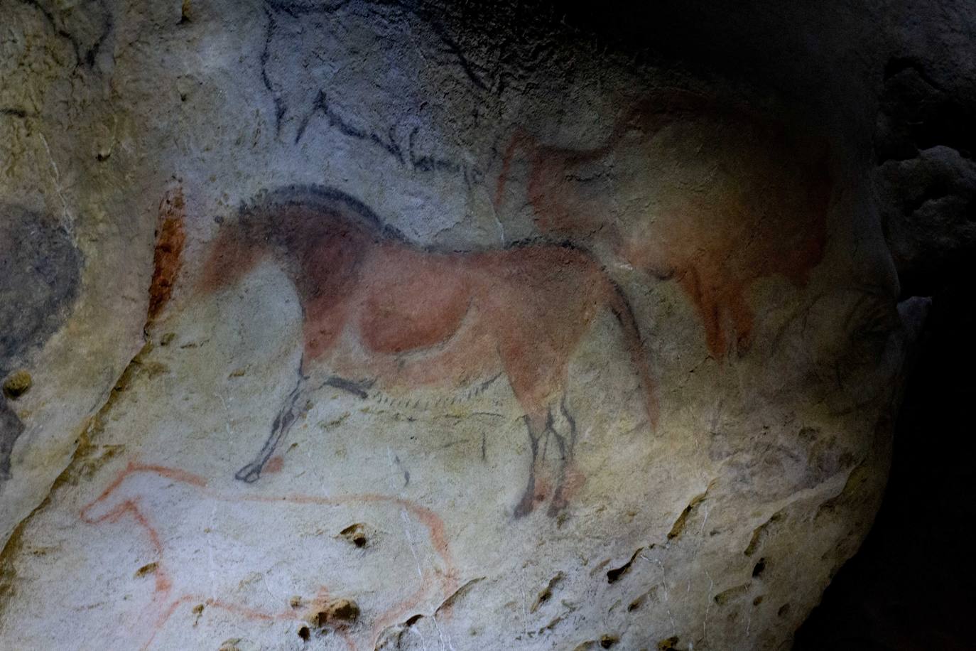 Fotos: Los caballos esperan en Ekainberri