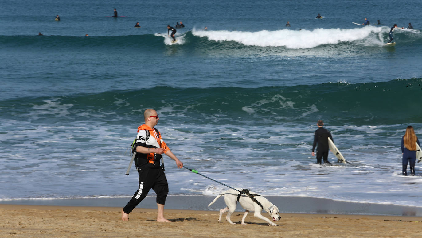 Fotos: Viento sur y temperaturas en ascenso