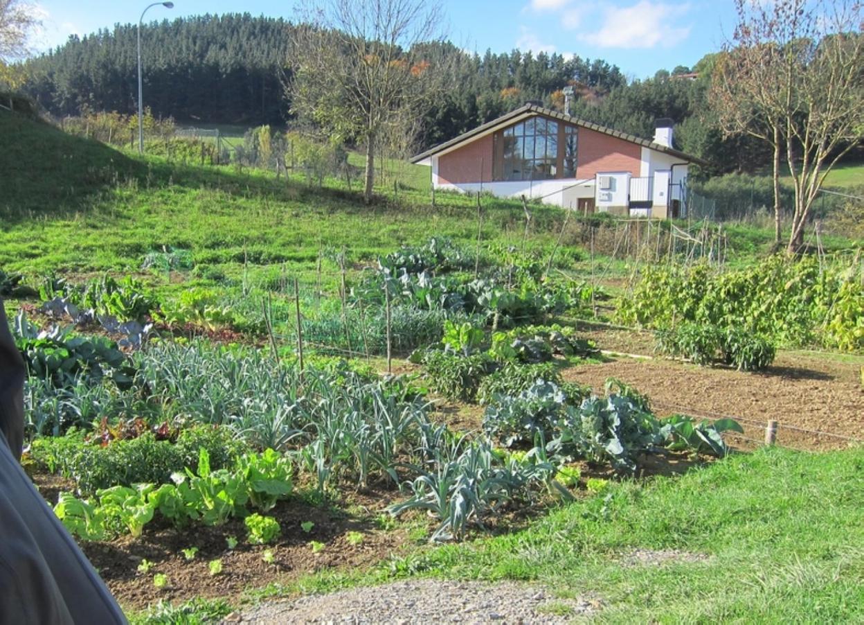 El parque consta de 69 huertas de aproximadamente 40 m2 . 