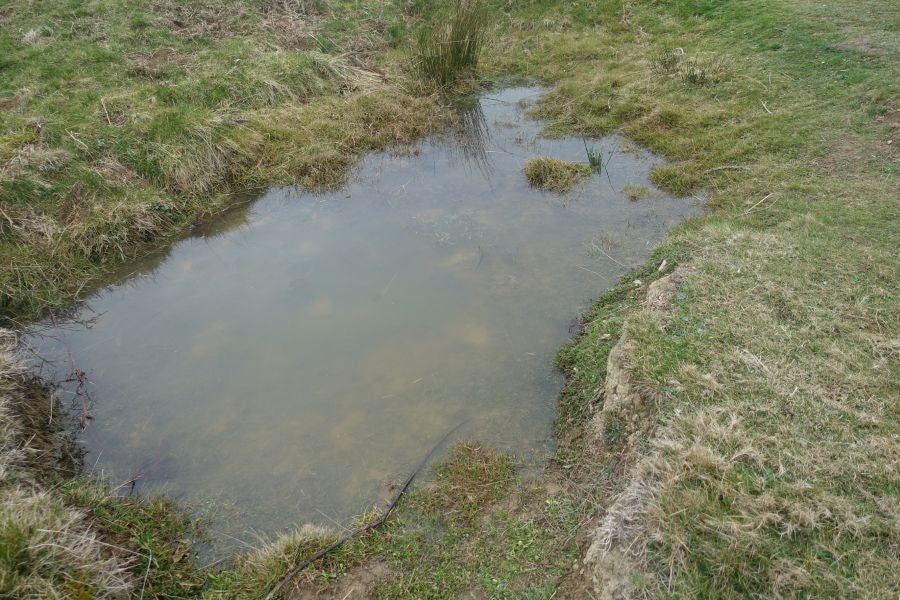 Bajo el manto blanco que ha cubierto esta semana el macizo de Aizkorri se encuentra, Zumarraga y los pueblos que se encuentran en el valle de Urola. 