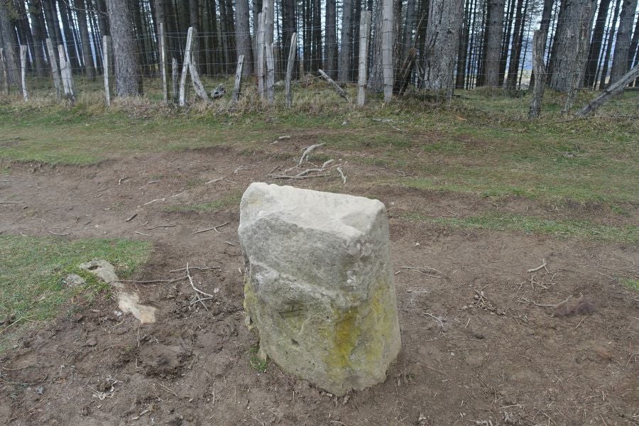 Bajo el manto blanco que ha cubierto esta semana el macizo de Aizkorri se encuentra, Zumarraga y los pueblos que se encuentran en el valle de Urola. 