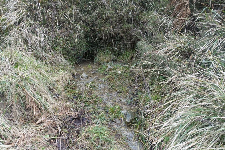 Bajo el manto blanco que ha cubierto esta semana el macizo de Aizkorri se encuentra, Zumarraga y los pueblos que se encuentran en el valle de Urola. 