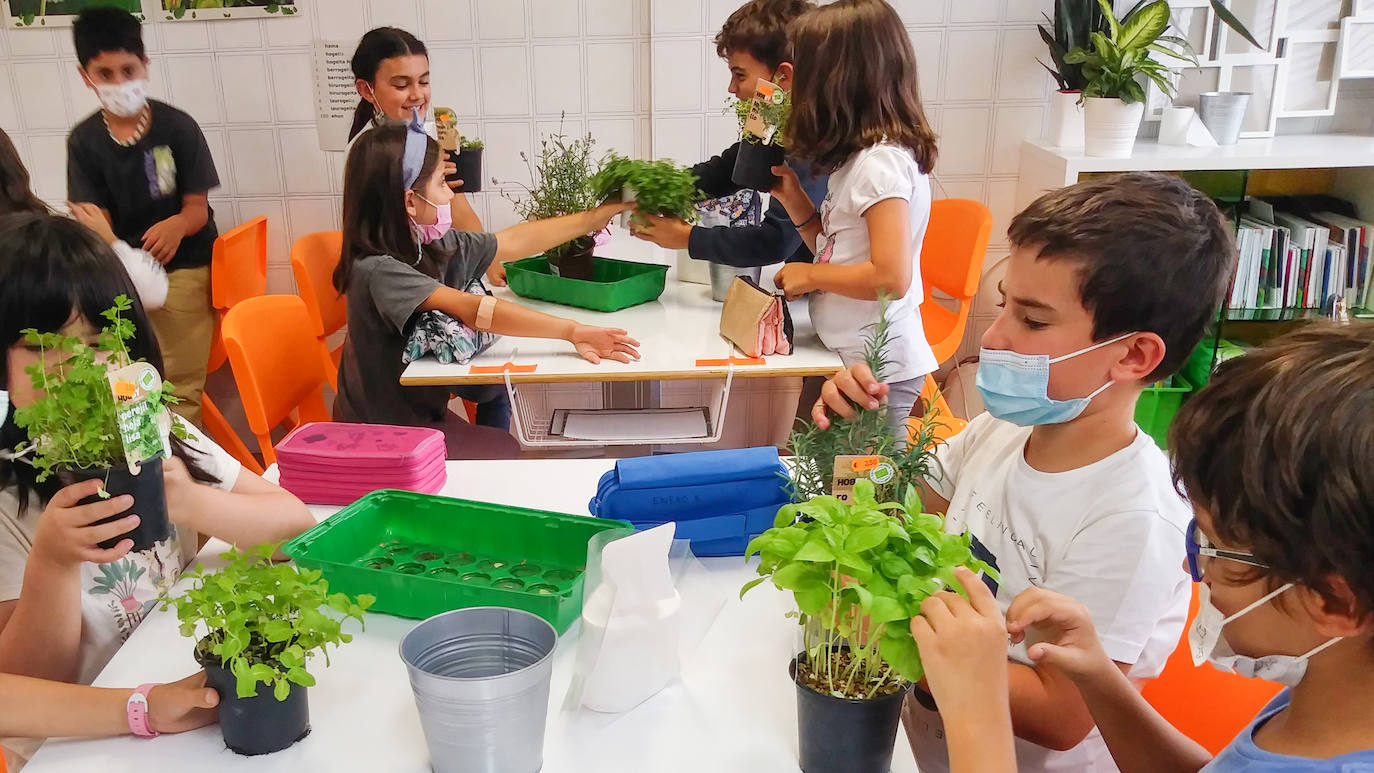 Los niños de 3º de Primaria, experimentando con la naturaleza.