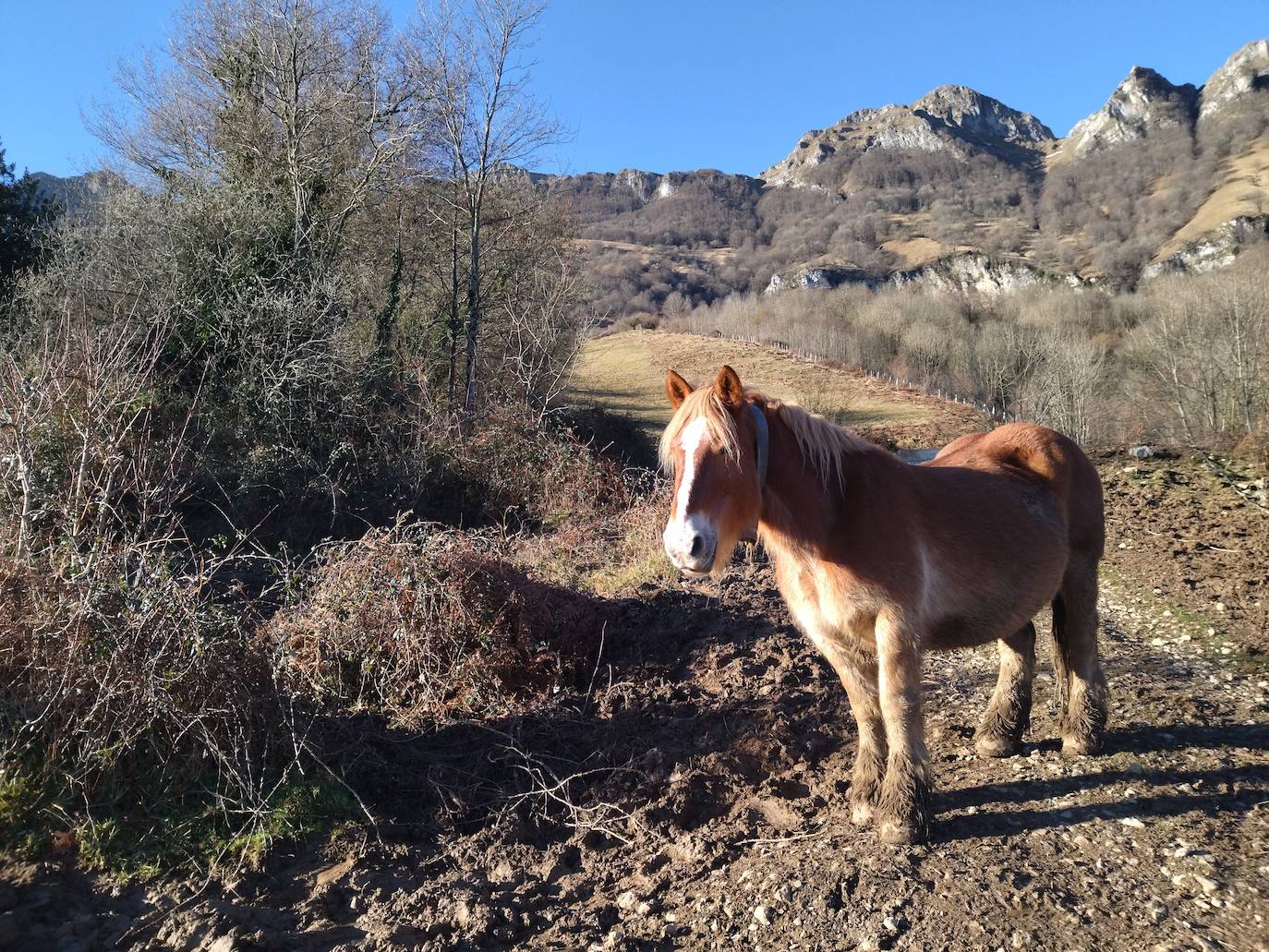 Fotos: Hirumugarrieta, dura subida con premio