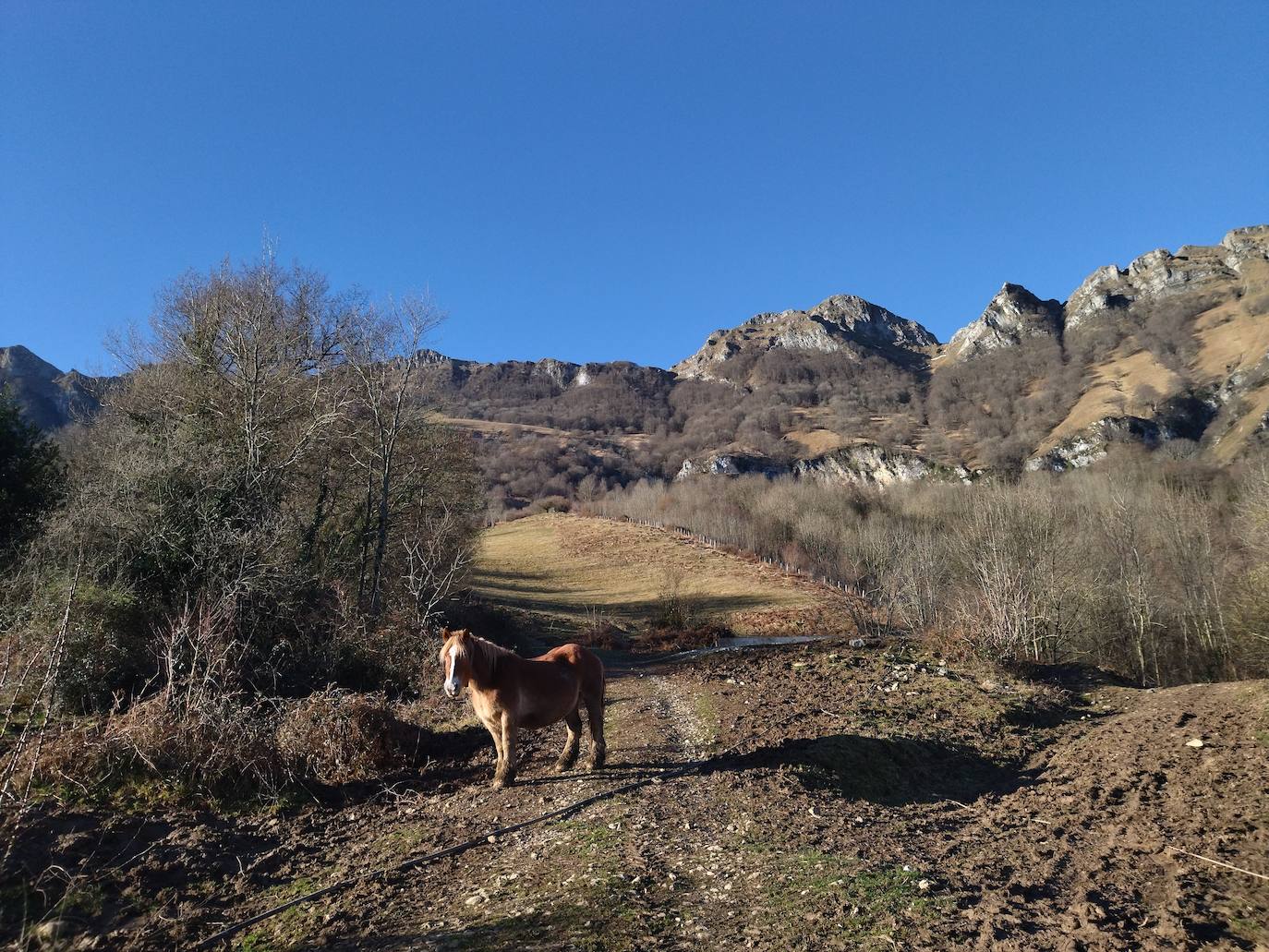 Fotos: Hirumugarrieta, dura subida con premio