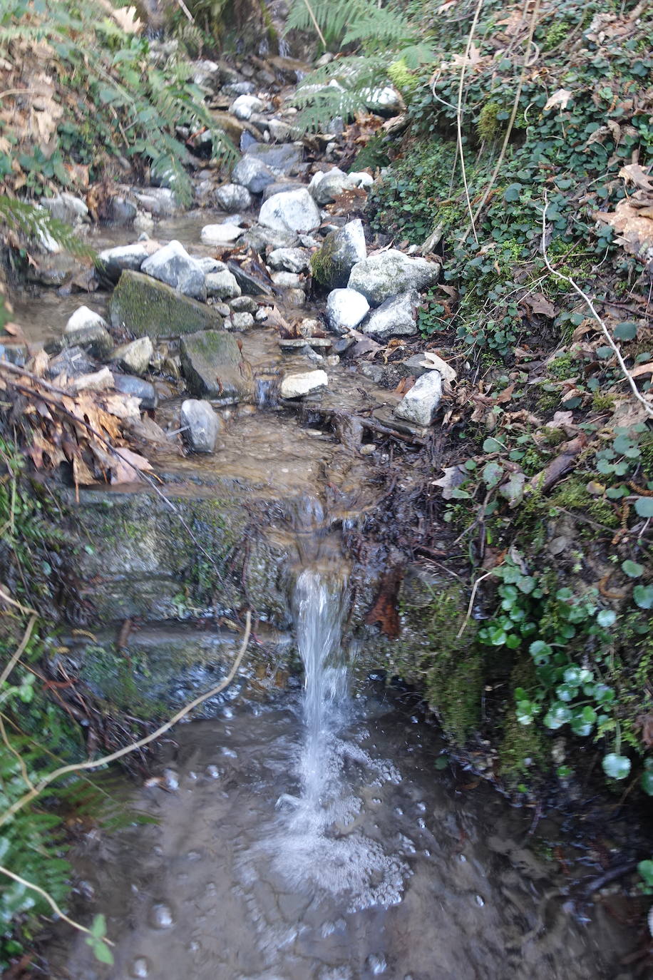 Fotos: Hirumugarrieta, dura subida con premio