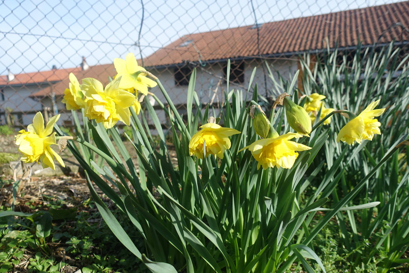 Fotos: Pagoeta, en el límite del Cantábrico