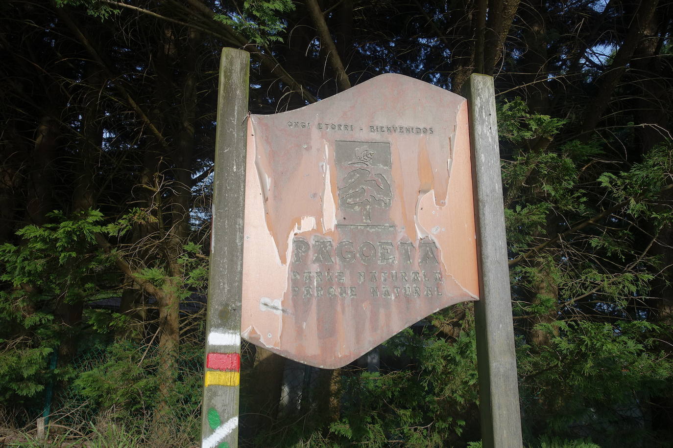 Fotos: Pagoeta, en el límite del Cantábrico