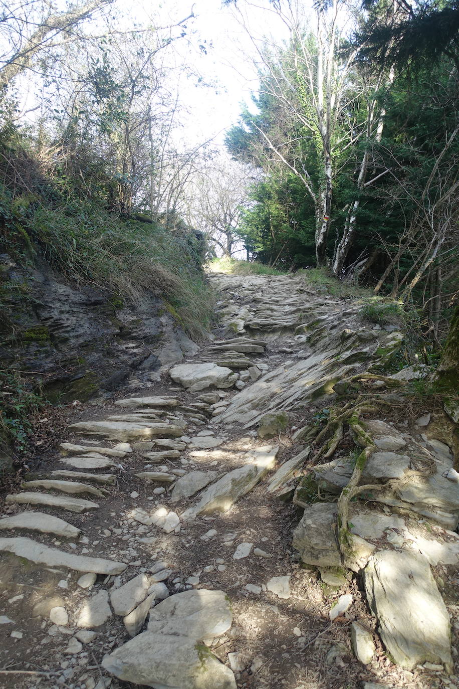 Fotos: Pagoeta, en el límite del Cantábrico