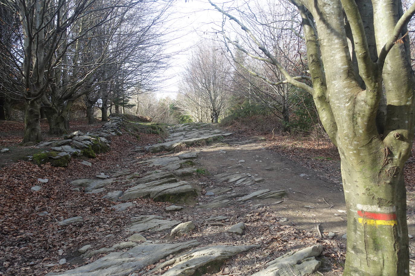 Fotos: Pagoeta, en el límite del Cantábrico