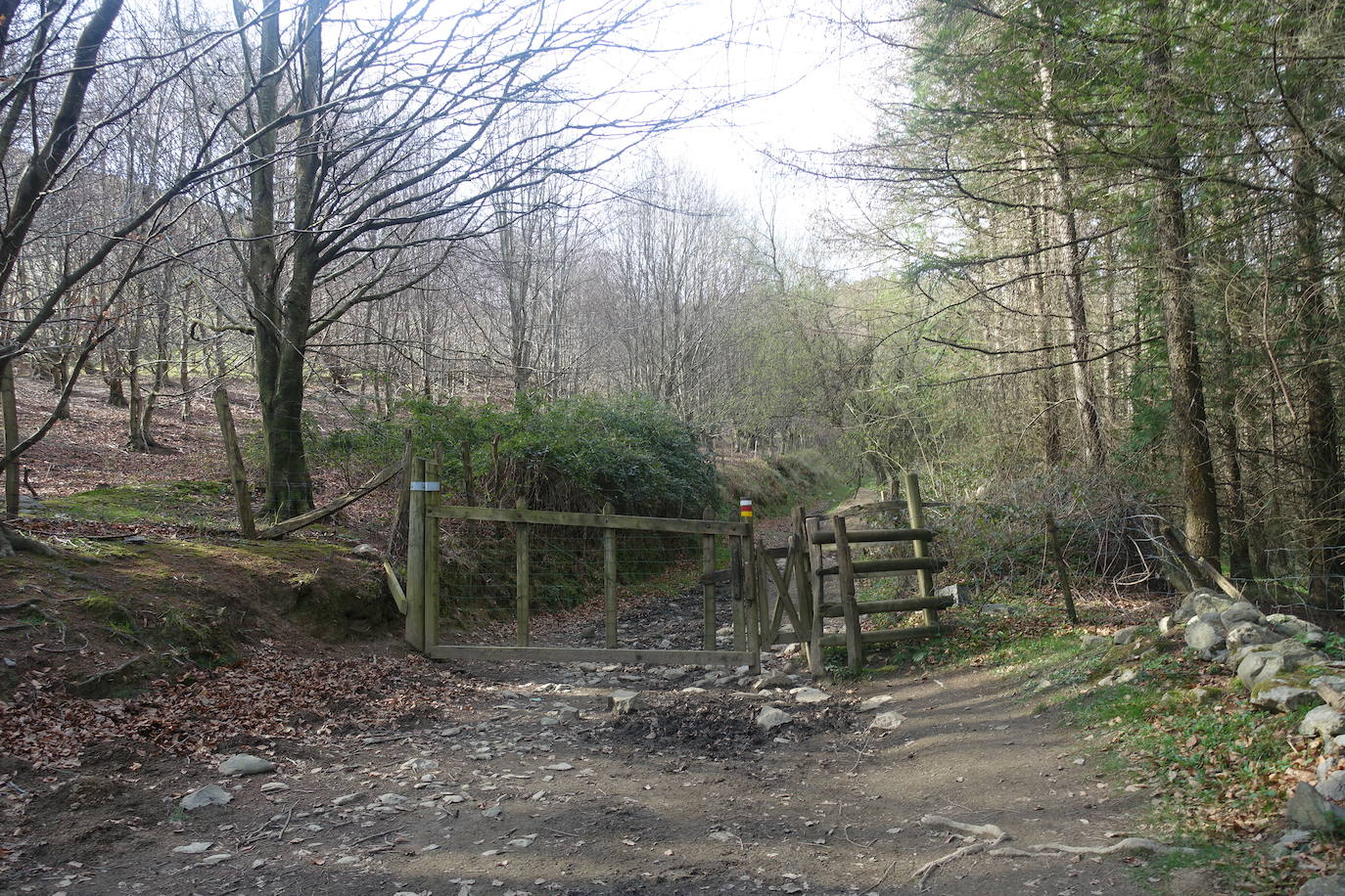 Fotos: Pagoeta, en el límite del Cantábrico