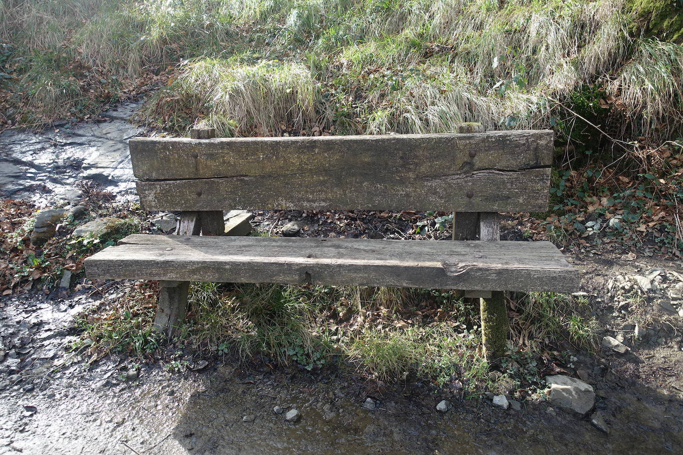 Fotos: Pagoeta, en el límite del Cantábrico