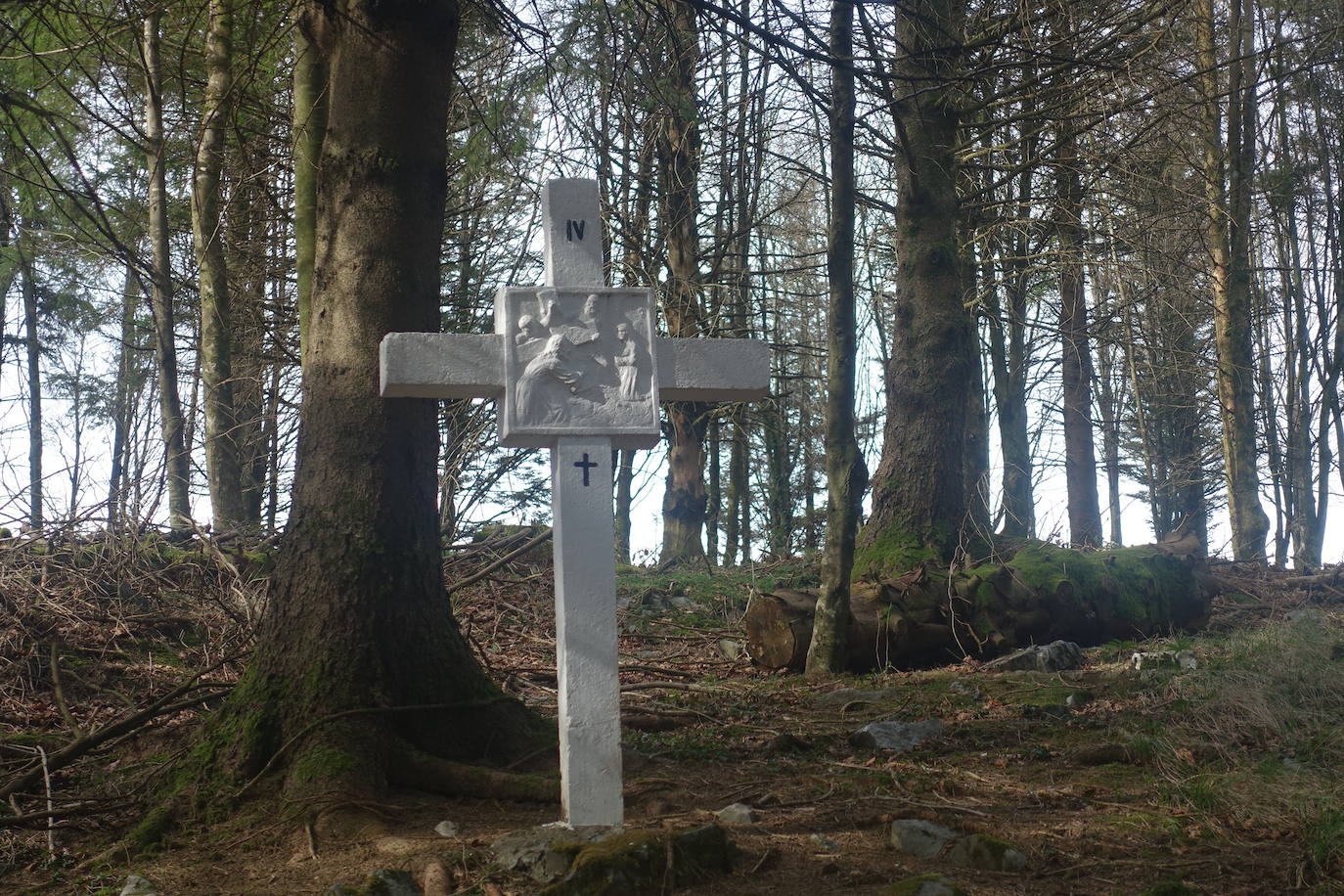 Fotos: Pagoeta, en el límite del Cantábrico