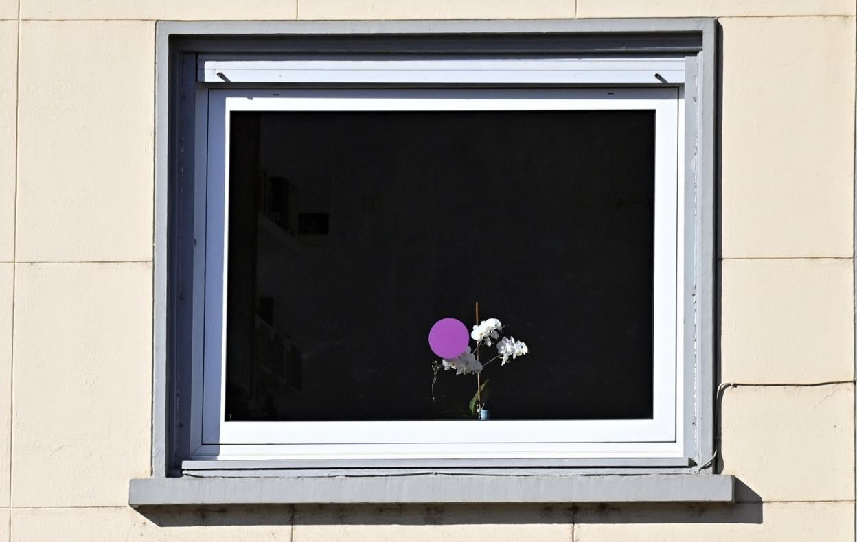 El programa, que se llevará a cabo hasta el 15 de marzo, contempla una mesa redonda, una exposición, espectáculos y proyección de películas. 